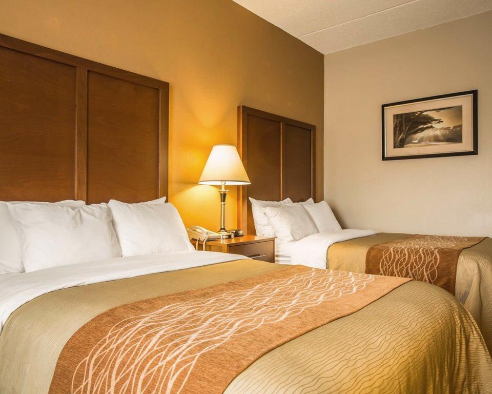 Comfort Inn Asheville Airport Fletcher Exterior photo